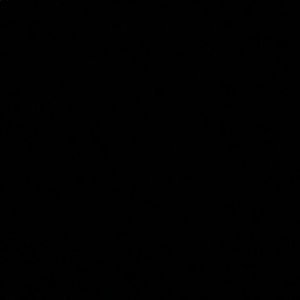 Meet your Posher, Joy